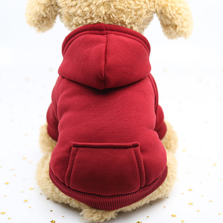 a small dog wear red dog hoodie