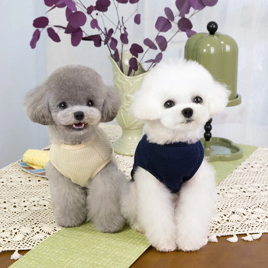 Cute Bear Waffle Knit Pet Vest with D-Ring | Breathable Pet Vest for Small to Medium Dogs & Cats