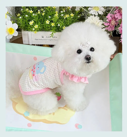 Small white Bichon puppy wearing a macaron pink cartoon camisole for a summer outing