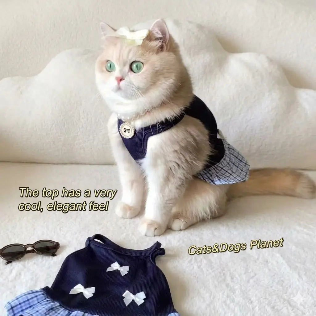 A chic, green-eyed cat sitting elegantly wearing a full "Old Money" style outfit set including a navy blue bow dress and a pearl necklace, conveying a sophisticated and "cool" aesthetic in a minimalist cloud-white interior.