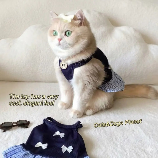 A chic, green-eyed cat sitting elegantly wearing a full "Old Money" style outfit set including a navy blue bow dress and a pearl necklace, conveying a sophisticated and "cool" aesthetic in a minimalist cloud-white interior.