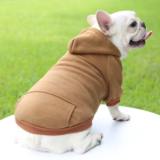A French Bulldog wearing a brown hoodie, standing in a cozy modern living room