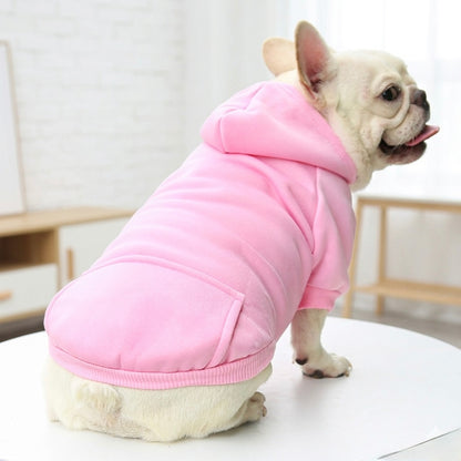 A French Bulldog wearing a pink hoodie, standing in a cozy modern living room