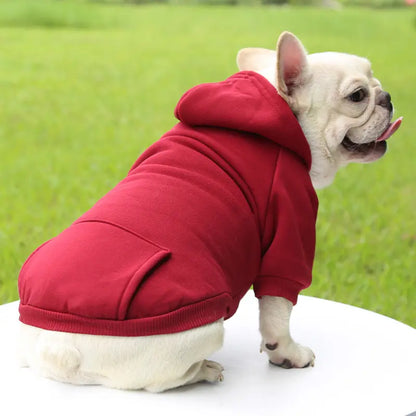A French Bulldog wearing a red hoodie, standing in a cozy modern living room