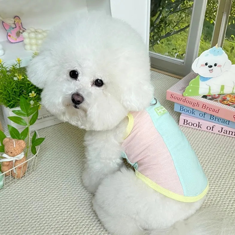 Dog Sun Protection
